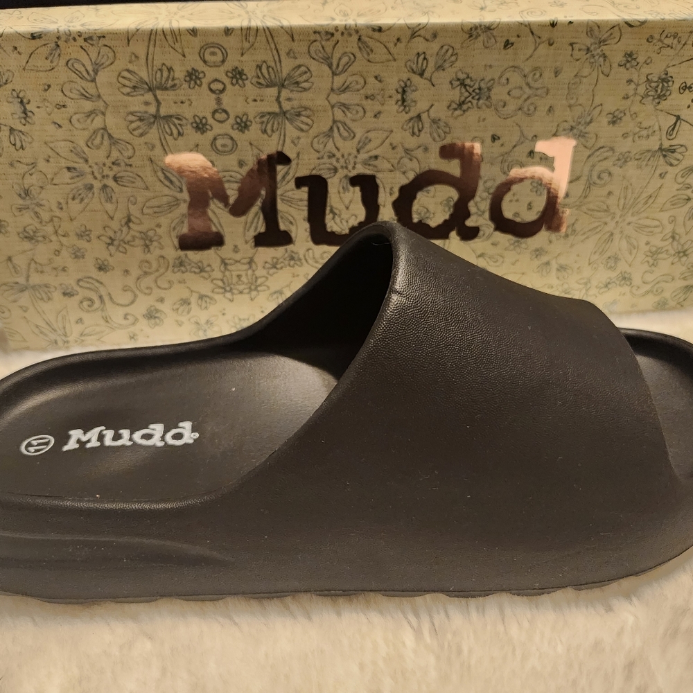 Mudd Slides